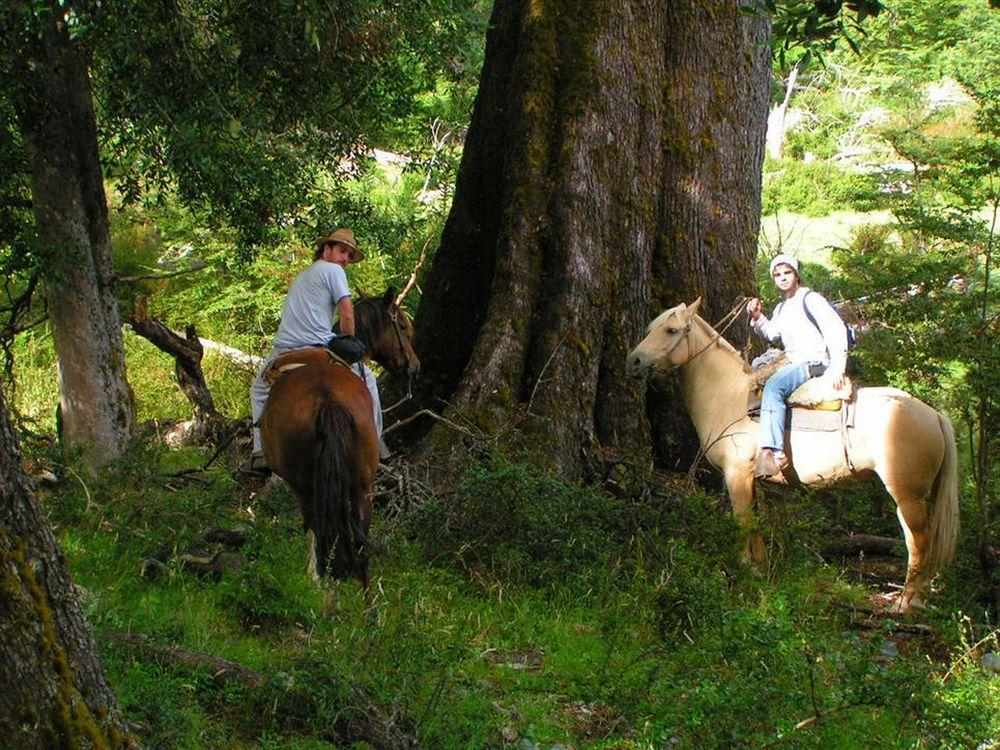 Hotel El Barranco Futaleufú Eksteriør bilde